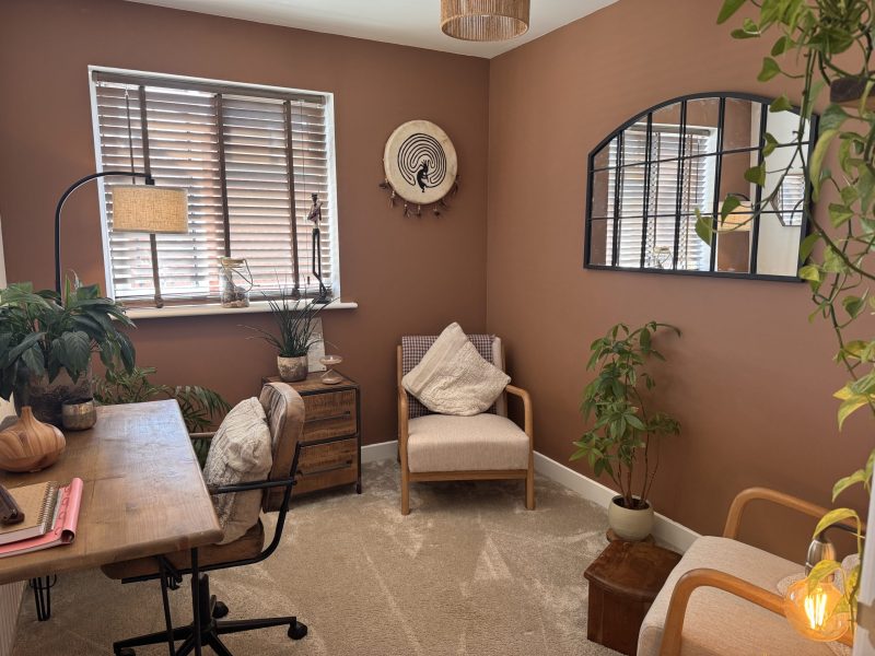 Therapy Room View 1